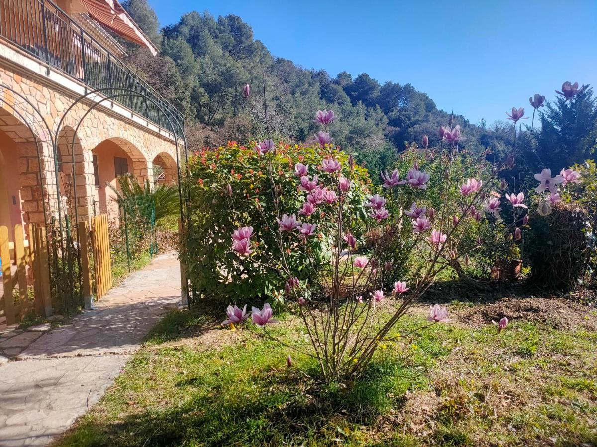 Villa Un Brin De Paille Cagnes-sur-Mer Exterior foto